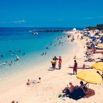 Sandspur-Beach