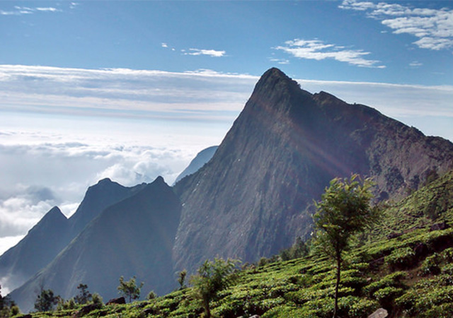 Kolukkumalai