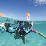 best-diving-and-snorkeling-sites