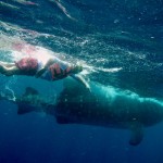 DCIM100GOPROG0051694.