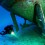 Enjoy Scuba Diving in Malta During Your Holidays