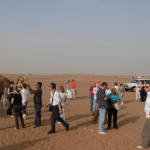 Abu Dhabi Morning Desert Safari