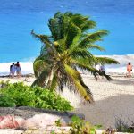 Barbados Tips and Insights from Avid Traveller