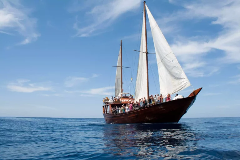 Boat-Trip-in-Tenerife