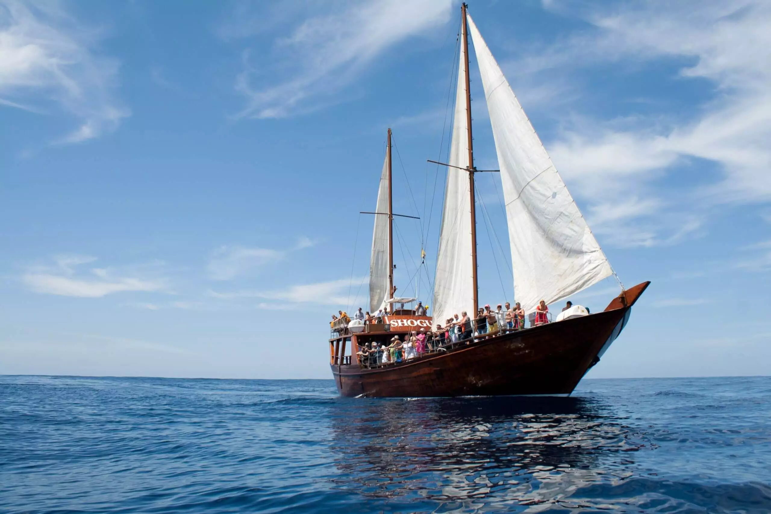 Boat-Trip-in-Tenerife