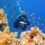 Snorkeling in Sinai: Exploring the Crystal Clear Waters Off the Coast of Sharm El Sheikh