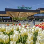 Keukenhof Gardens