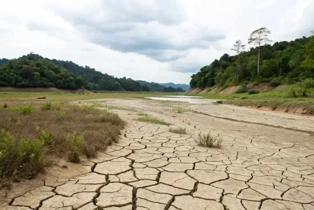 Borneo’s Dry Season